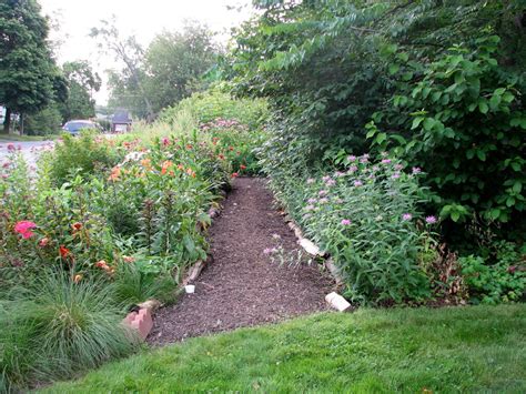 How to create a habitat garden – Our Habitat Garden