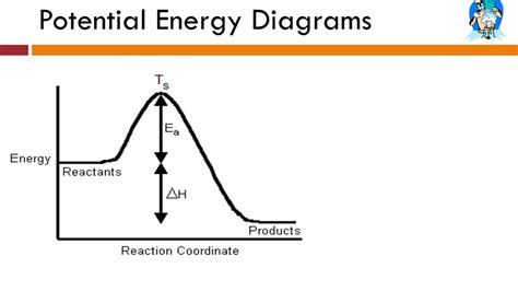 Potential Energy Diagram