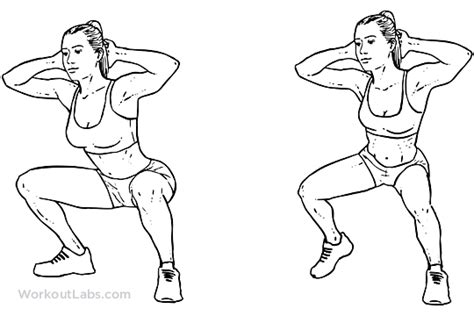 Duck Walks / Squats | WorkoutLabs