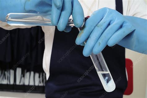 Making silver bromide - Stock Image - C024/5732 - Science Photo Library