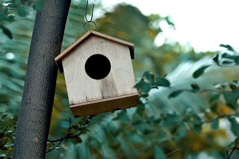 Brown Wooden Bird House Hanging on Tree · Free Stock Photo