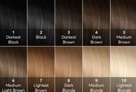 Pin by Jeana F on Hair Reference | Hair levels, Hair level chart, Hair color chart