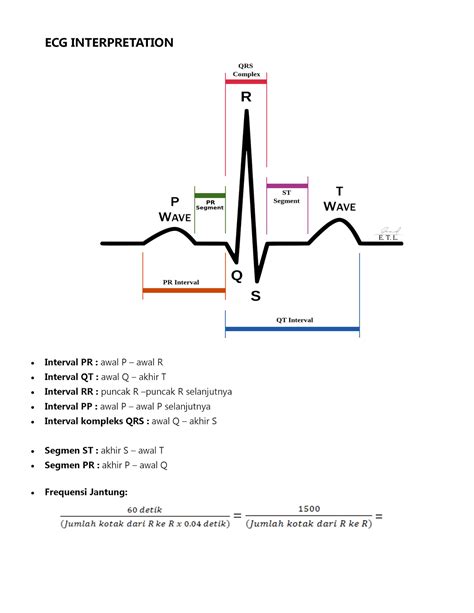 Ecg Normal Values | Hot Sex Picture