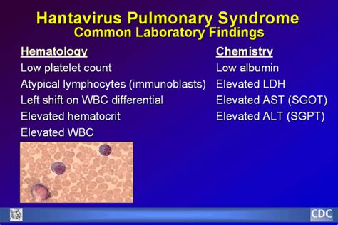 Pin on virology