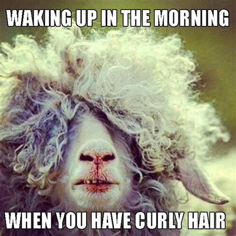 Your morning reflection is always a hot mess. | 22 Memes That Are Way Too Real For People With ...