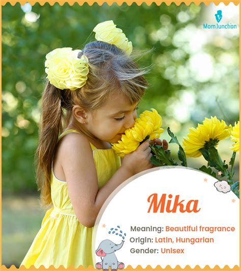 Mika Name Meaning, Origin, History, And Popularity