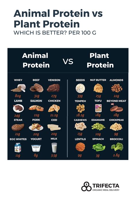 The Battle of Proteins: Animal vs Plant