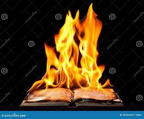 Burning Book On Fire Flames Royalty-Free Stock Photo | CartoonDealer ...