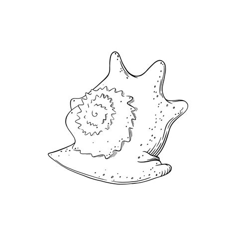 Spiral seashell isolated in white background. Marine shell sketch. Vector illustration 23231790 ...