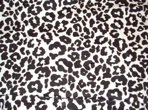 Free photo: Leopard Print Texture - Animal, Clipart, Graphic - Free ...