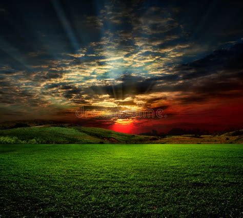 Rural scene on sunset stock image. Image of lawn, cultivated - 24210269