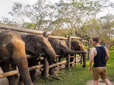 Visiting an Elephant Sanctuary in Thailand