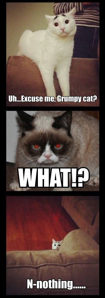 Funny Quotes Grumpy Cat. QuotesGram