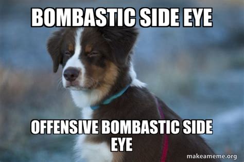 BOMBASTIC SIDE EYE OFFENSIVE BOMBASTIC SIDE EYE - Unsure Dog Meme Generator