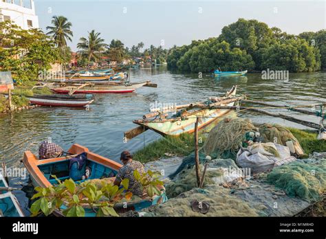 Negombo Lagoon, Dutch Canal, Negombo, Colombo, Western Province, Sri ...