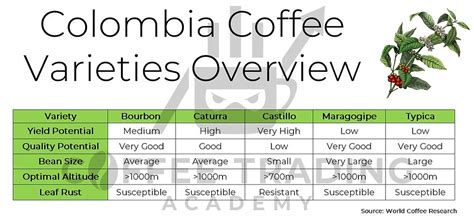 Coffee Origin Focus Part 2 – Colombia: Weather, Coffee Regions & Production