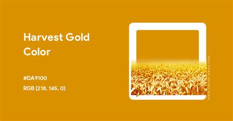 Harvest Gold color hex code is #DA9100