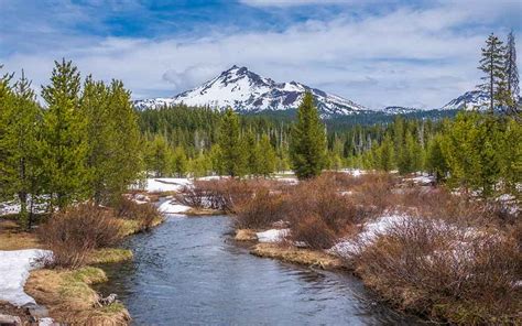 Discover Alaska's Wilderness: Top Destinations for Nature Enthusiasts