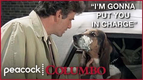 6 Times Columbo's Dog Stole the Scene | Columbo - YouTube