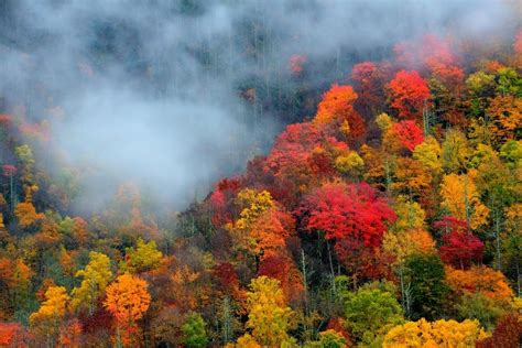 3 Reasons to Visit the Smoky Mountains in the Fall | Gatlinburg Cabins | Gatlinburg Cabin ...