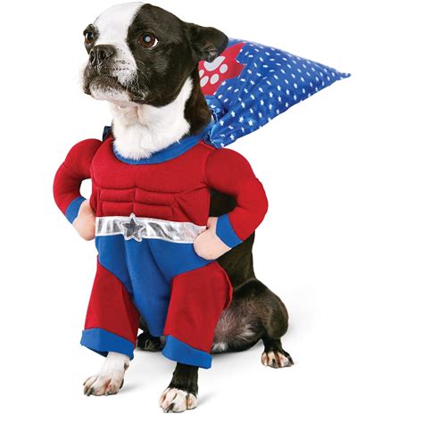 Halloween Costume Ideas For Dogs - Festival Around the World