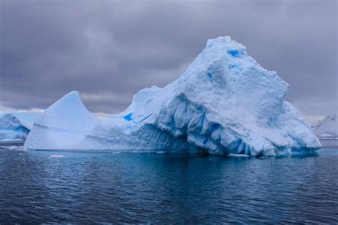 What is an Iceberg? Everything You Need to Know - American Oceans