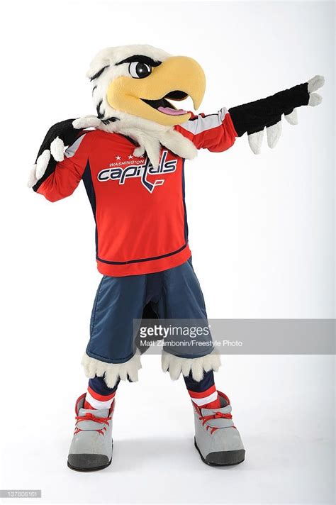 Free download 2012 NHL All Star Game Mascot Portraits Slapshot All star [681x1024] for your ...