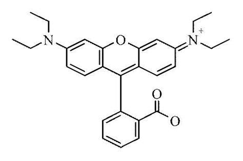 Rhodamine B base 99 25g CAS 509 34 2 C I 45170 1 Solvent Red 49 from Cole-Parmer