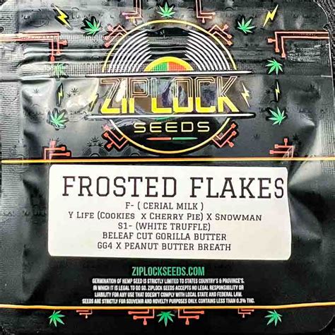 Ziplock Seeds - FROSTED FLAKES - 10 Feminized Seeds - Gaslamp Seeds