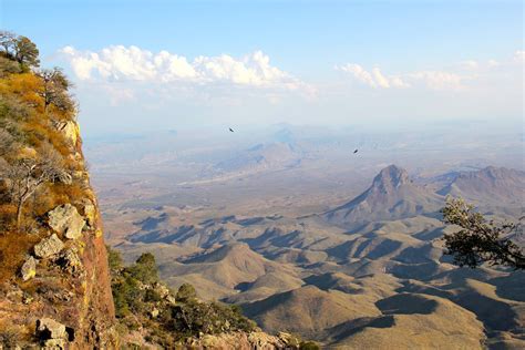 Chihuahuan Desert | One Earth