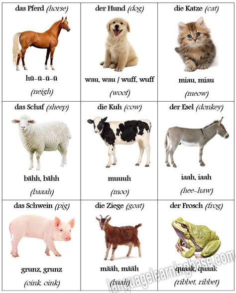 Animal Sounds in German With English Translations - study German,german,animals,sounds ...