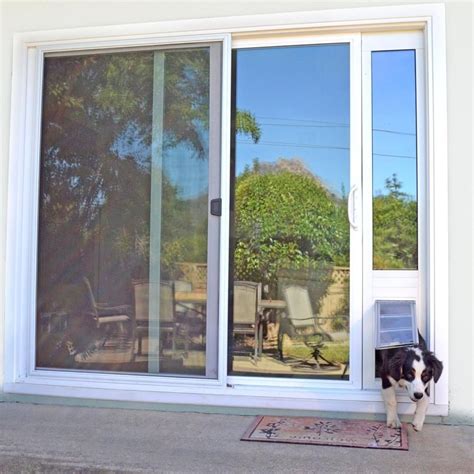 7 Steps on How to Install a Dog Door in a Sliding Glass Door