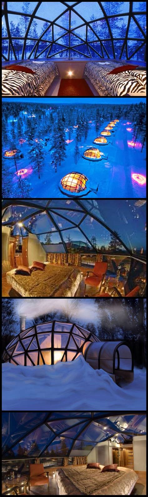 Glass Igloo Hotel in Finland | Seeing what the world has to offer | P…