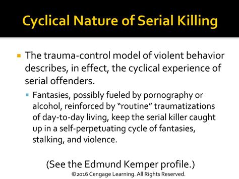 CHAPTER FOUR: Social Construction of Serial Murder - ppt download