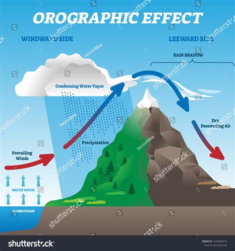 Orographic effect vector illustration. Labeled weather system movement ...