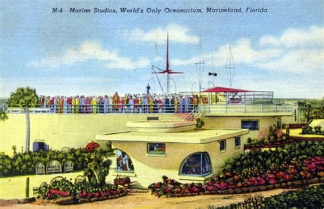 Marineland Florida: Dolphins first performed here; now you swim with them