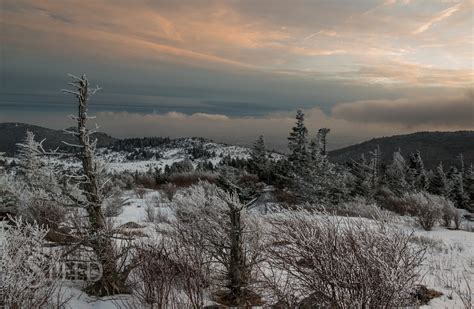 Michael Speed | Winter in Grayson Highlands State Park