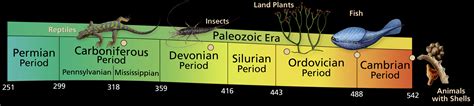 paleozoic-era – Sam Noble Museum