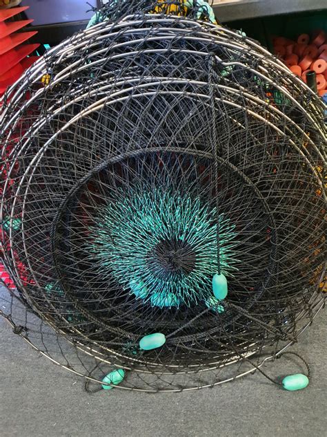 Crabbing Equipment Suppliers Perth, Western Australia | Crabbing Accessory Wholesalers Australia ...