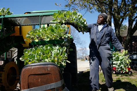 New research attempts to pinpoint "Why do small farms matter?" Critics ...