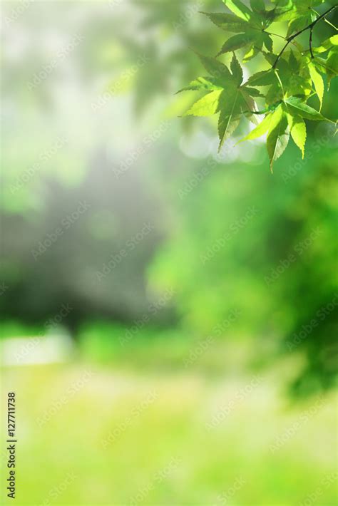 Green Blurred Background Hd