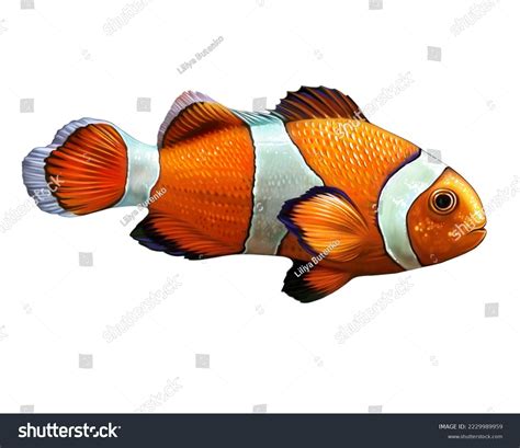 Realistic Drawing Of A Fish