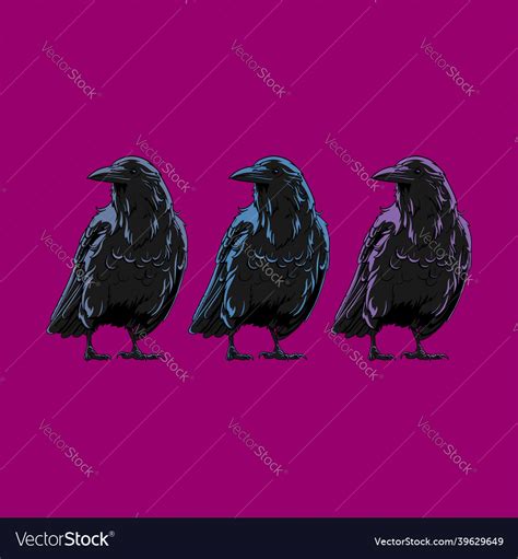 Raven Royalty Free Vector Image - VectorStock