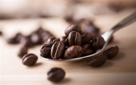 Spoon Coffee Beans Close Up #6915946