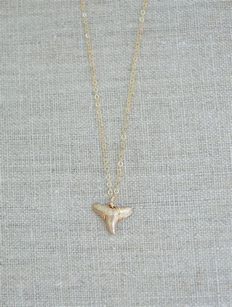 Gold Shark Tooth Necklace — Authentic Fossil Jewelry | Foxy Fossils