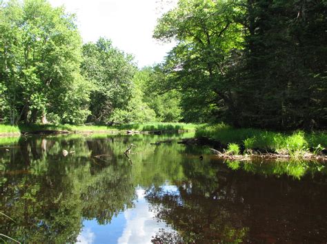 Gift to the Earth - Celebrating Parks Canada's 100th birthday with an eye to the future - Nature ...