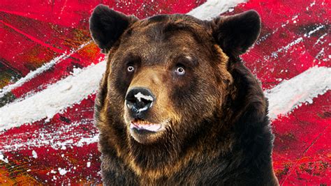 The True Story Of The ‘Cocaine Bear' Movie Is More Wild Than The Title