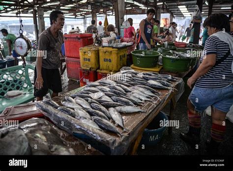 Paranaque, Philippines. 31st May, 2014. A fish vendor calls for Stock ...