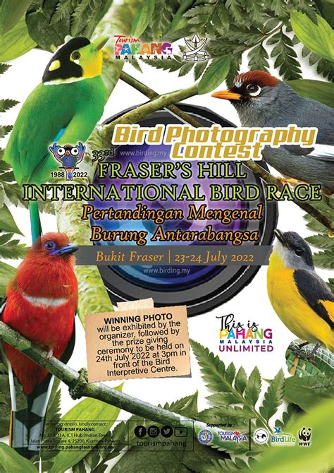 Bird Photography Contest at Fraser’s Hill - Bird Watching Asia