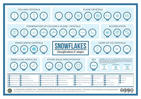 Snowflakes All Fall In One of 35 Different Shapes | Snowflakes ...